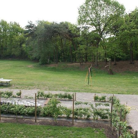 Vakantieboerderij 'T Zand - Appartement Heeswijk-Dinther Eksteriør bilde